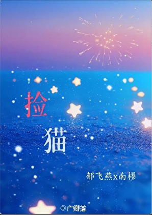 捡猫