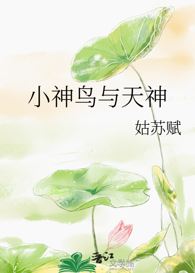 小神鸟与天神